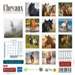 Calendrier illustré BOUCHUT 15 x 15 cm CHEVAL Pefc 70 %