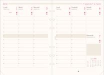 Oberthur - Recharge pour organiseur - 1 semaine sur 2 pages (semainier français) - 14,5 x 23,5 cm