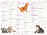 Calendrier Chats 4 saisons - 6 mois par face - 40,5 x 55 cm - Oberthur