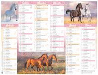 Calendrier Cheval - 6 mois par face - 32 x 42 cm - Oberthur