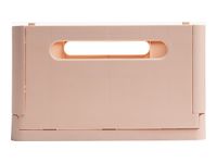 Exacompta Skandi - Caja de almacenamiento - maxi - para A4 Plus - carne