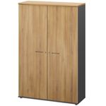 Armoire haute JAZZ+ - L120 x H183 x P48 - 2 portes - 4 étagères - chêne du bocage