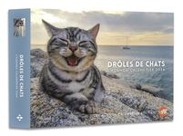 Agenda Calendrier Drôles de chats