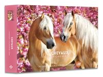 Agenda Calendrier Chevaux