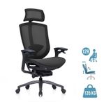 Fauteuil de bureau ASTON - accoudoirs réglables - appui-tête - noir