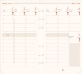 Oberthur - Recharge pour organiseur - 1 semaine sur 2 pages à la verticale - 9,5 x 19,5 cm