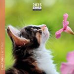 Calendrier mensuel 16x16 cm - 16 mois - Chatons