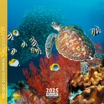 Calendrier mensuel 16x16 cm - 16 mois - Monde sous-marin