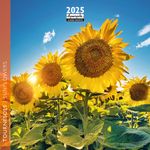 Calendrier mensuel 16x16 cm - 16 mois - Tournesols