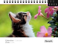 Calendrier mensuel à spirales 16x18 cm - Chats