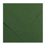 CANSON Iris Vivaldi - Papier Dessin Couleur - Lisse - 240 g/m² - Feuille - 50x65cm - Vert Sapin