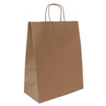 Sac kraft poignées torsadées Jungle vert -  24 x 11 x 31 cm