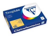 Clairefontaine Trophée - Papier - or - A4 (210 x 297 mm) - 120 g/m² - Ramette de 250 feuilles
