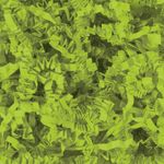 E.Pack La Couronne - 2.5 kgs Frisures de papier kraft 80% recyclé - 80 gr - Vert Pomme