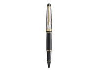 Waterman Expert - Roller - noir - fin