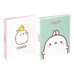 Classeur 4 anneaux - Dos 50 mm - A4 - Molang - Viquel