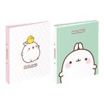 Classeur 2 anneaux - Dos 50 mm - A4 - Molang - Viquel