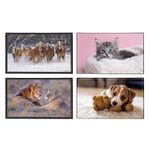 Sous-main Animaux 4 visuels - 59,5 x 36,2 cm - Assortis - Viquel