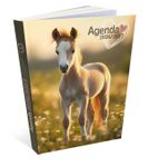Agenda Cheval - 1 jour par page - 12 x 17 cm - Bouchut