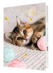 Agenda Chaton tendre - 1 jour par page - 12,5 x 17,5 cm - Oberthur