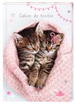 Cahier de texte Chaton tendre duo - 15 x 21 cm - Oberthur