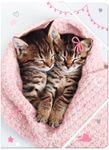 Chemise A4 chaton tendre duo - 24 x 32 cm - Oberthur