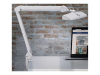MAULintro - Lampe de bureau - LED -  10.5 W - classe E - lumière du jour - blanc