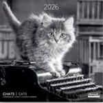 Calendriers 30x30cm 16 mois Aquarupella - Chats N&B