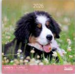 Calendriers 30x30cm 16 mois Aquarupella - Chiots