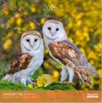 Calendriers 30x30cm 16 mois Aquarupella - Chouettes