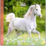Calendrier 16x16cm 16 mois Aquarupella - Chevaux