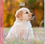 Calendrier 16x16cm 16 mois Aquarupella - Chiots