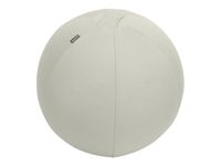 Leitz Ergo - Ballon d'assise ergonomique - Diamètre 55cm - Gris clair