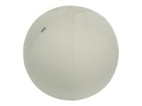 Leitz Ergo - Ballon d'assise ergonomique - Diamètre 65cm - Gris clair