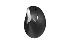 Rapoo EV250 - Souris sans fil ambidextre - Noir