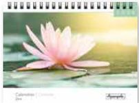 Calendrier chevalet 16x18cm 12 mois Aquarupella - Zen