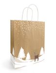 50 Sacs cadeau kraft TINO - 22 x 18 x 8 cm - Kraft et blanc