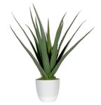 Plante artificielle ALOE VERA - 45cm