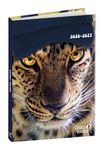 Quo Vadis - Agenda année scolaire - 2026-2027 - Eurotextagenda - Journalier - Multilingue - Mes potes à pattes mignons - Multicolore - 12 mois de août à juillet - 12x17 cm
