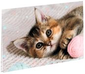 Sous-main double chaton tendre -  55 x 37 cm - Oberthur