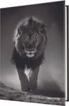 Agenda Lion - 1 jour par page - 12,5 x 17,5 cm - Oberthur