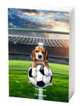 Agenda P.D. Moreno - 1 jour par page - 12 x 17 cm - Sport 2 décors assortis - Oberthur