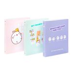 Classeur A4 4 anneaux dos de 3,5 cm MOLANG