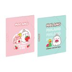 Chemise pelliculée à élastiques 3 rabats A4 MOLANG FRUITS