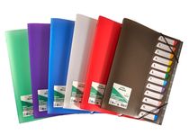 Bureau Vallée Recyclé - trieur A4 - 12 positions - disponible dans différentes couleurs