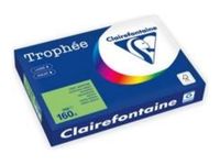 Clairefontaine Trophée - Papier couleur - A3 (297 x 420 mm) - 160 g/m² - 250 feuilles - menthe