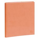 Agenda de bureau spiralé Lily Eurotime 18S - 1 semaine sur 2 pages - 15 x 17 cm - disponible dans différentes couleurs - Exacompta