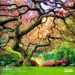 Calendrier mensuel 30X30cm ARBRES - 16 mois Aquarupella