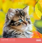 Calendrier mensuel 30X30cm CHATONS - 16 mois Aquarupella