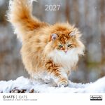 Calendrier mensuel 30X30cm CHATS - 16 mois Aquarupella